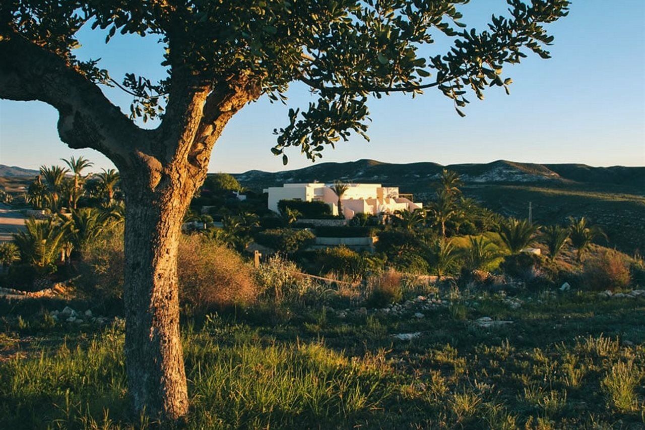Real Agua Amarga La Joya - Adults Only Hotell Eksteriør bilde